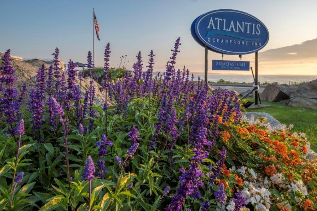 Atlantis Oceanfront 3*